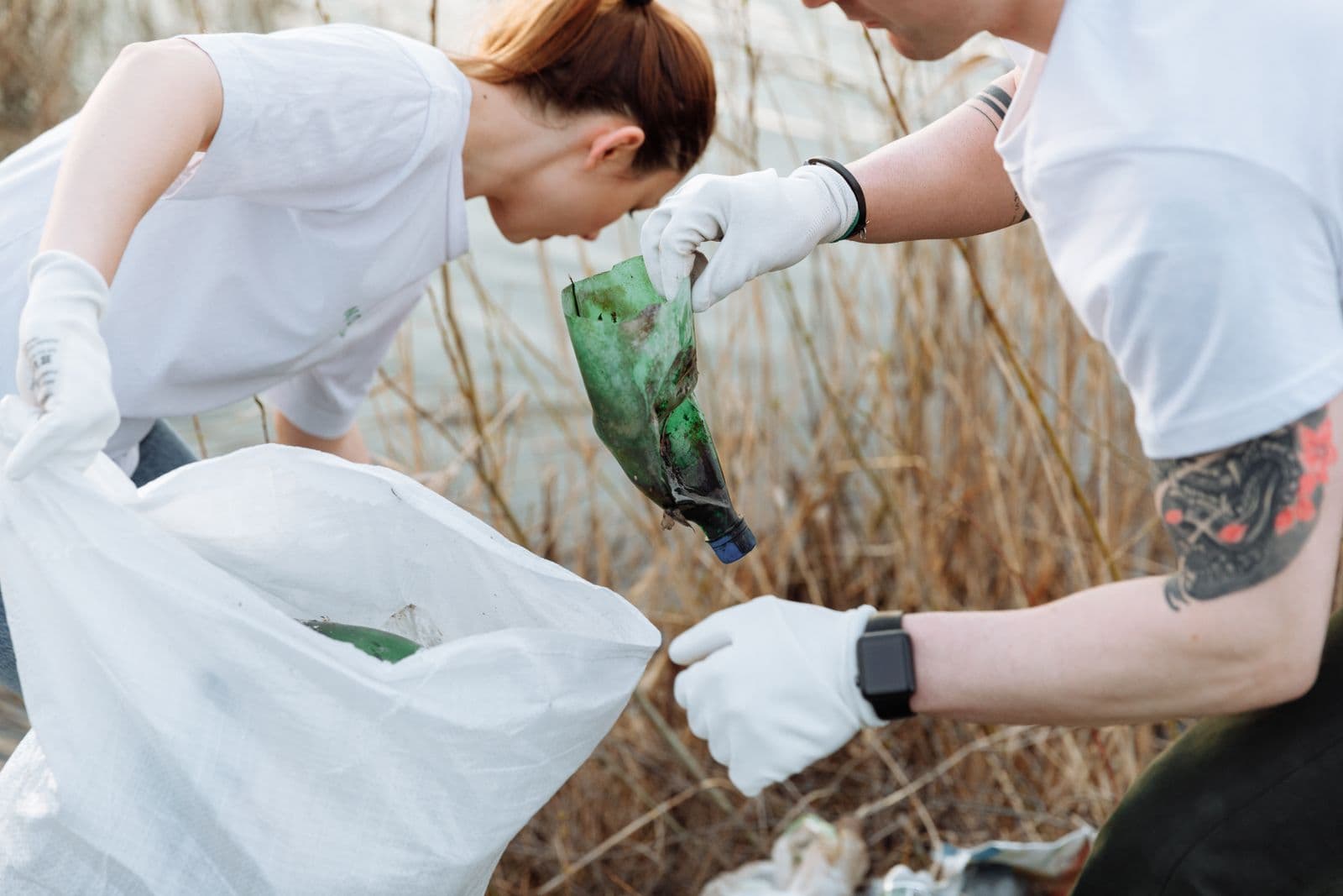 Volunteers cleaning up together