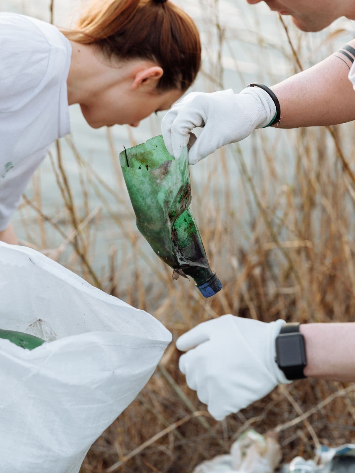 Volunteers cleaning up together
